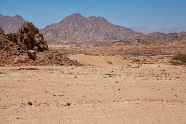 Mısırın kumlarında dolaşmak