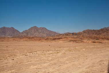 Mısır çölünde seyahat