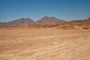 Mısır çölünde seyahat