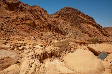 Mısır çölünde seyahat