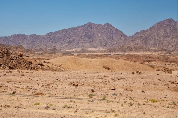 사막의 모래가 이집트 — 스톡 사진
