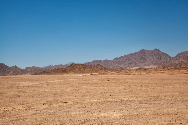 Mısırın kumlarında dolaşmak