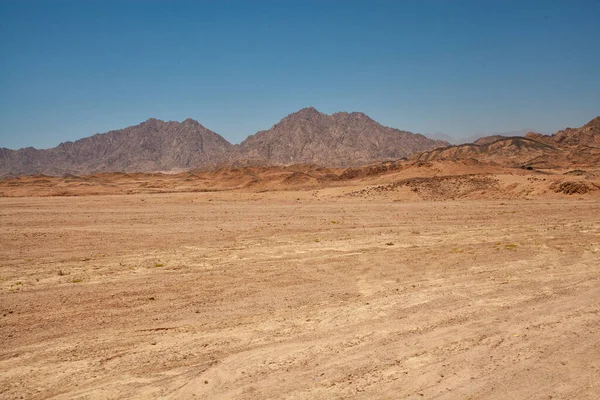 Mısır çölünde seyahat