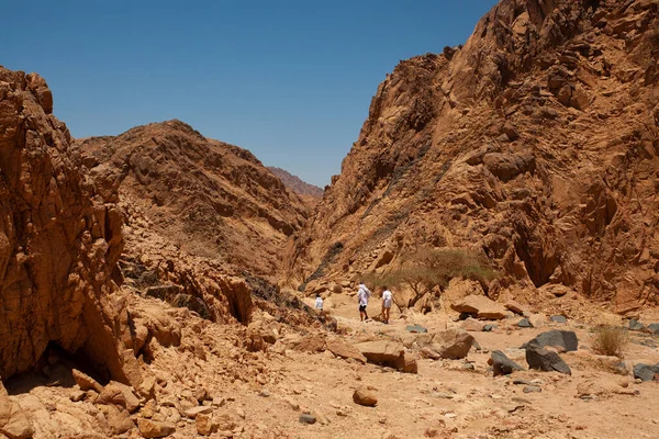 Mısır çölünde seyahat