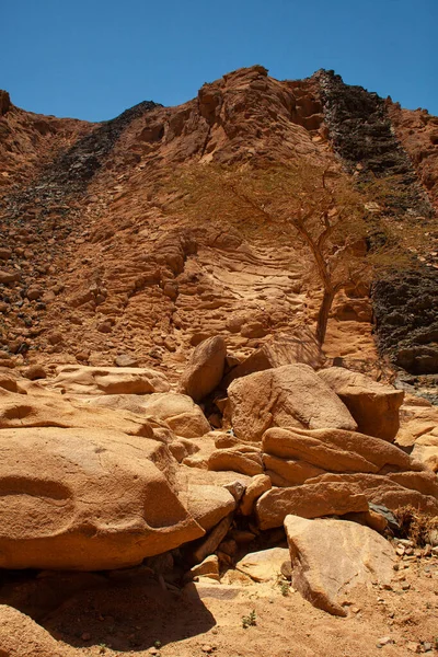 Mısır çölünde yolculuk, doku,