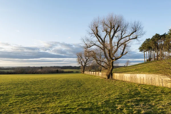 Primavera inglese paesaggio di campagna durante il bel tramonto — Foto Stock