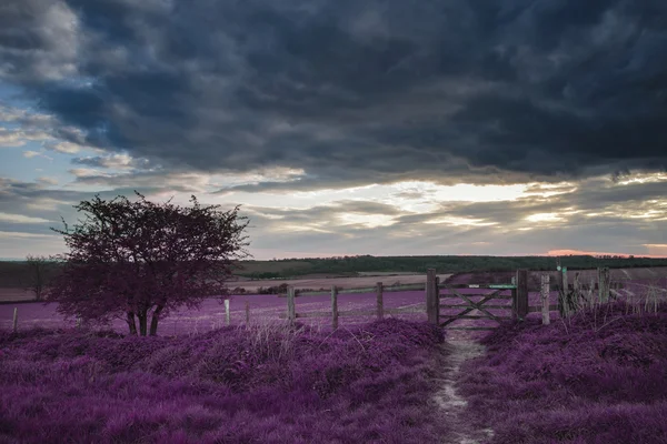 Bela paisagem rural inglesa sobre os campos ao pôr do sol wi — Fotografia de Stock