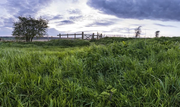 Hermoso paisaje paisajístico inglés sobre campos en — Foto de Stock