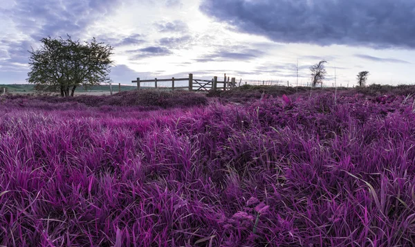 Hermoso paisaje de campo inglés sobre campos al atardecer wi — Foto de Stock