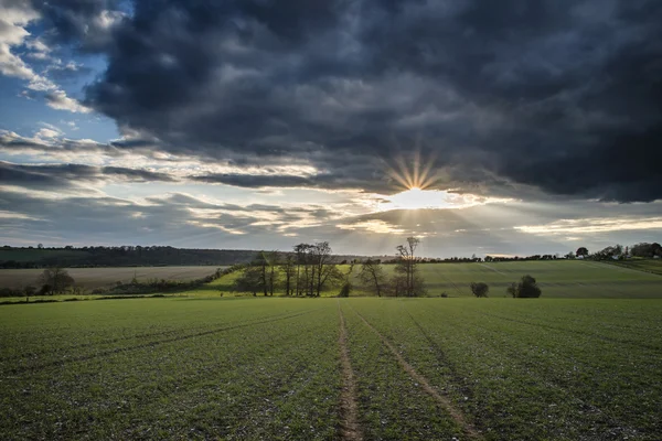 Bela paisagem rural inglesa sobre os campos ao pôr do sol — Fotografia de Stock