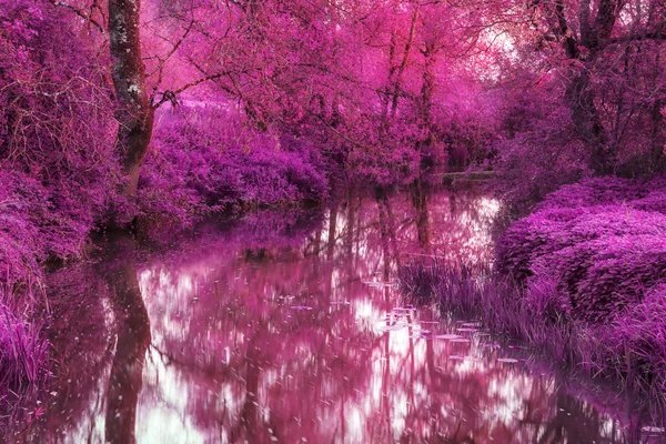 Impresionante imagen de paisaje de color alternativo infrarrojo de árboles ove —  Fotos de Stock