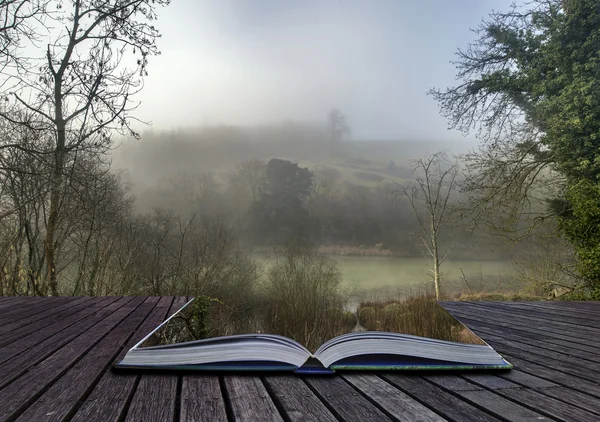 Moody paysage forestier brouillard dramatique Printemps Automne Automne Automne — Photo