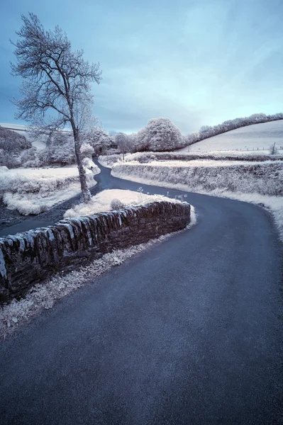 道路 windin の美しいシュール カラー赤外線風景画像 — ストック写真