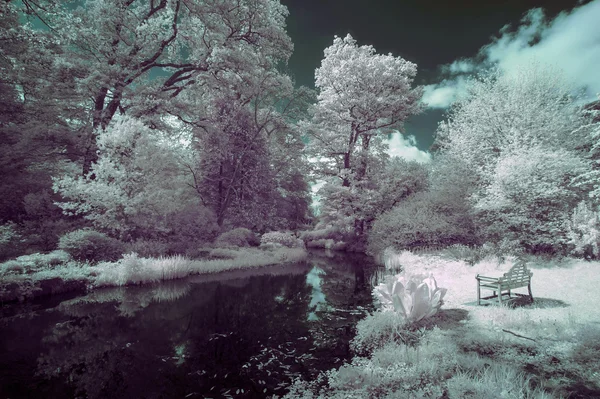 Superbe image de paysage infrarouge de vieux pont sur la rivière en co — Photo