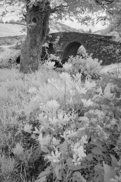 Siyah ve beyaz kızılötesi manzara resim eski köprü çarpıcı — Stok fotoğraf