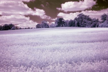 Alternatif col ormanıyla çarpıcı kızılötesi manzara görüntü