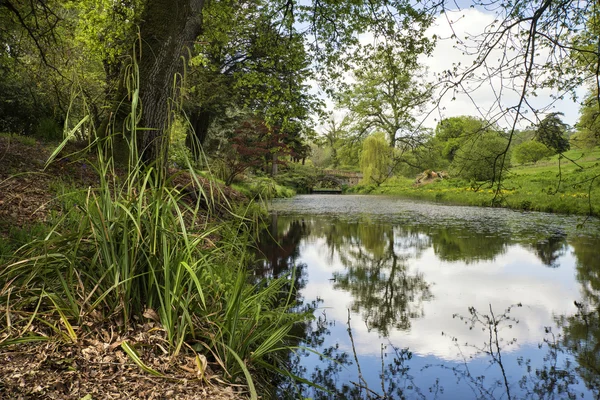 Fantastiska landskap bilden av gamla medeltida bron över floden med — Stockfoto