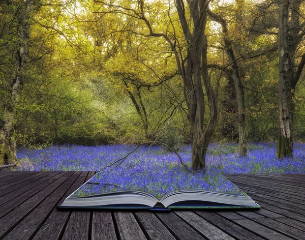 Bluebell orman bahar çarpıcı manzara görüntü — Stok fotoğraf