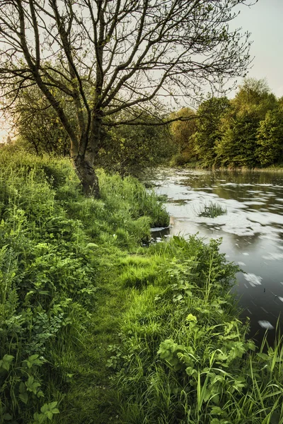 Beautiful sunrise landscape image of river flowing and lush gree — Stock Photo, Image