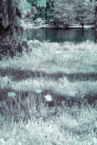 Superbe image de paysage infrarouge de la forêt avec col alternatif — Photo