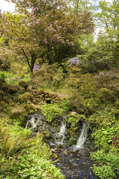 Belle image de paysage d'été de ruisseau coulant sur les rochers dans — Photo