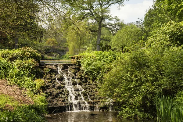 Krásný obraz letní krajina potok tekoucí přes skály v — Stock fotografie