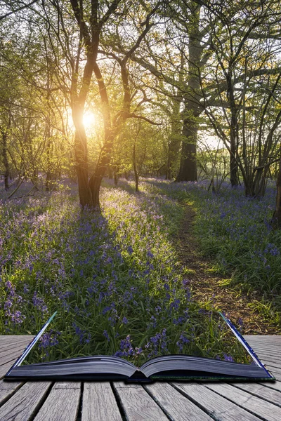 Lélegzetelállító táj kép bluebell tavaszi erdő — Stock Fotó