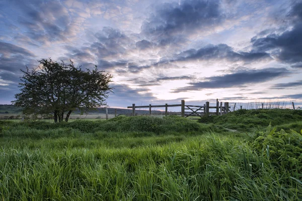 Mooie Engelse platteland landschap over velden bij zonsondergang — Stockfoto