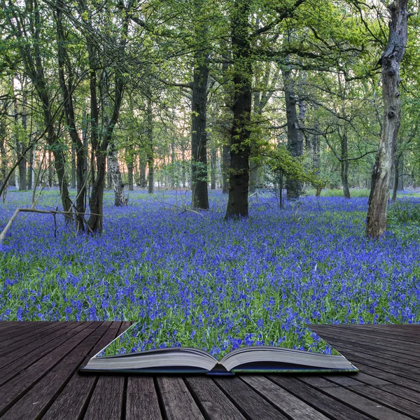 Imagem deslumbrante da paisagem da floresta de bluebell na primavera — Fotografia de Stock