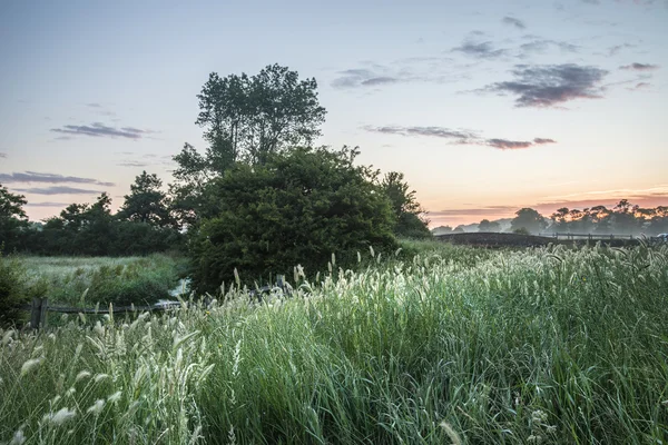 Vackra levande sommar soluppgång över engelska landsbygden landsk — Stockfoto