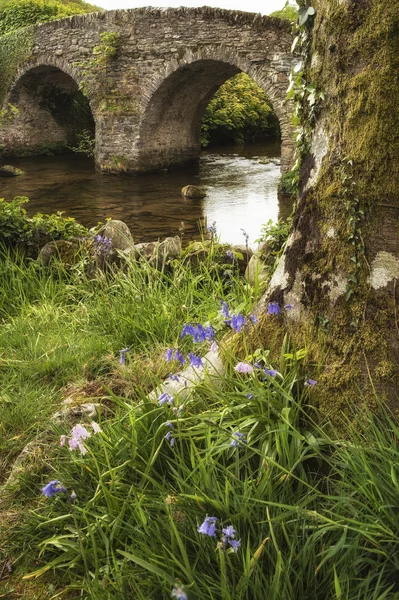 Imagem da paisagem da ponte medieval no cenário do rio em Inglês c — Fotografia de Stock