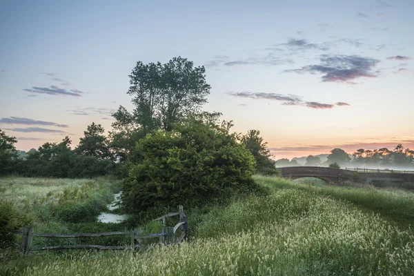 Vackra levande sommar soluppgång över engelska landsbygden landsk — Stockfoto
