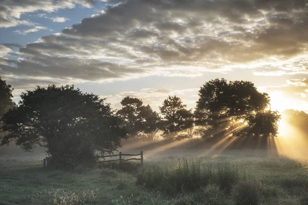 Όμορφη ζωντανή καλοκαίρι Ανατολή του ηλίου πάνω από την αγγλική ύπαιθρο διαμορφωμένο — Φωτογραφία Αρχείου