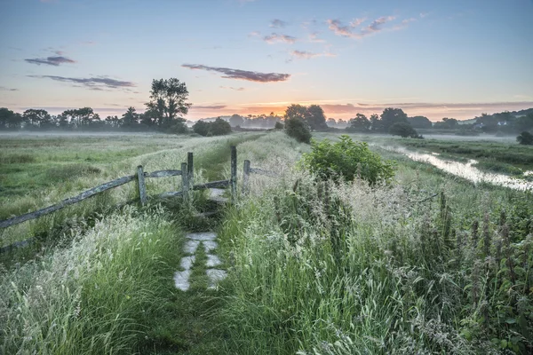 Mooie levendige zomer zonsopgang boven Engels platteland landsc — Stockfoto