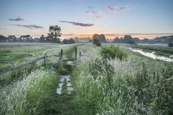 Vackra levande sommar soluppgång över engelska landsbygden landsk — Stockfoto