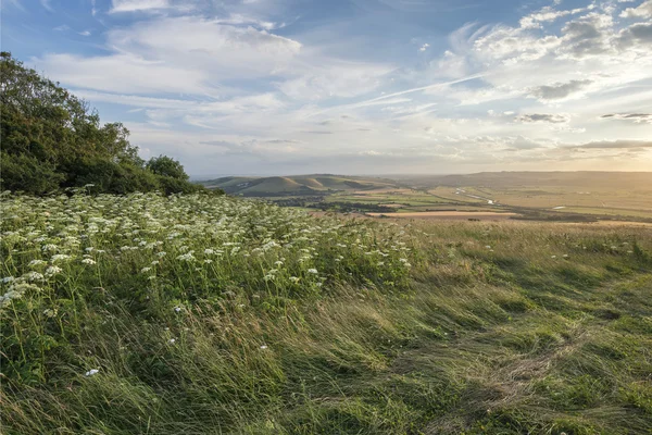 Beautiful peaceful sunset landscape image over English rolling c — Stock Photo, Image