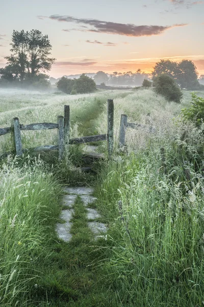 Mooie levendige zomer zonsopgang boven Engels platteland landsc — Stockfoto