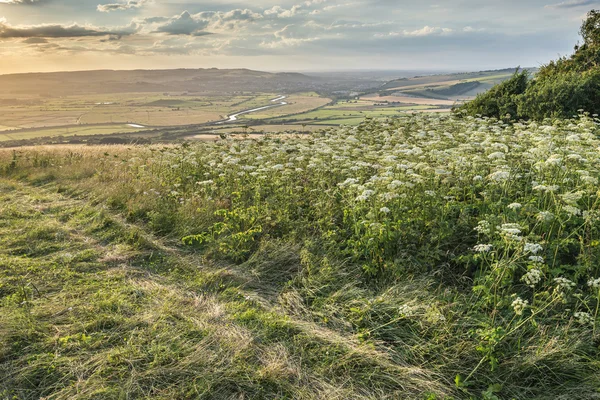 Schöne friedliche Sonnenuntergang Landschaft Bild über Englisch rollende c — Stockfoto