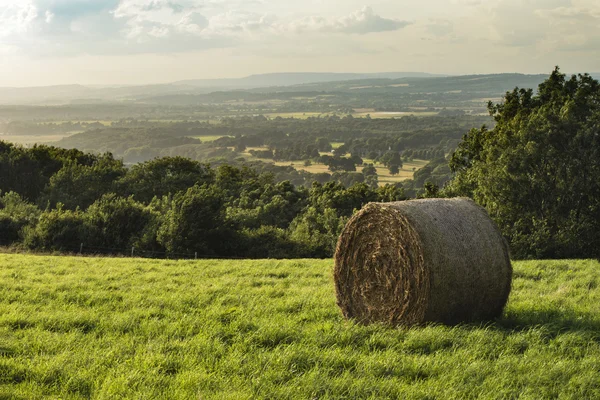 Belo verão pôr do sol vibrante sobre paisagem rural de fi — Fotografia de Stock