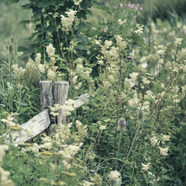 Schöne Sommerlandschaft mit gesplittetem Filter für Instagram — Stockfoto