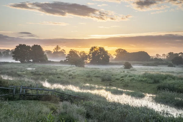 Piękne. żywe lato wschód słońca nad angielskiej wsi scenerii. — Zdjęcie stockowe