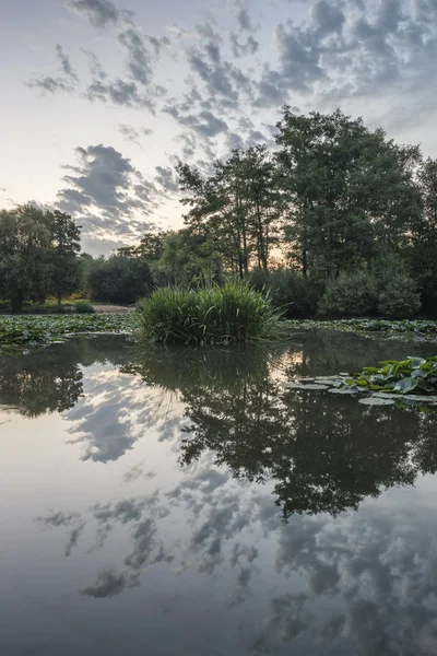 Impresionante amanecer Paisaje de verano en calma estanque perfectamente inmóvil —  Fotos de Stock