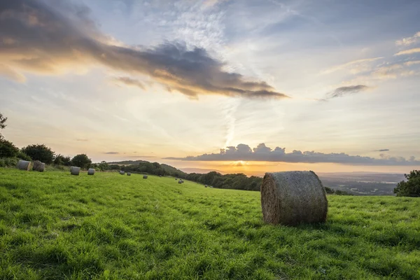 Belo verão pôr do sol vibrante sobre paisagem rural de fi — Fotografia de Stock