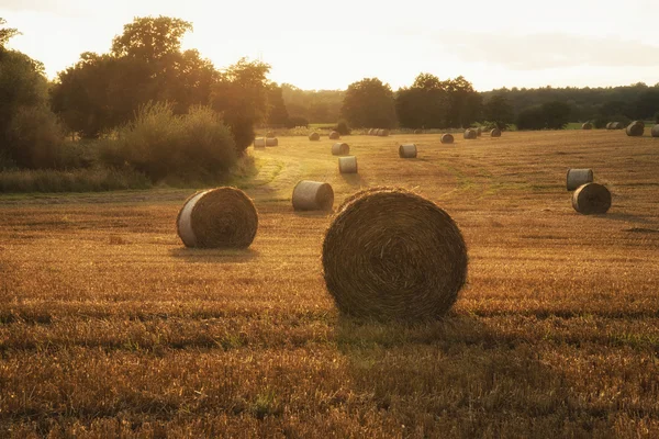 Bela paisagem rural imagem de fardos de feno em fie de verão — Fotografia de Stock
