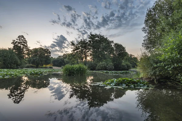 Superbe lever de soleil Paysage estival au-dessus d'un étang parfaitement calme — Photo