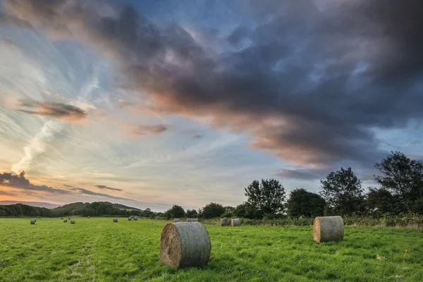 Beautiful Summer vibrant sunset over countryside landscape of fi — Stock Photo, Image