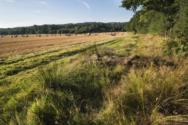 Hermosa imagen del paisaje rural de fardos de heno en verano fie —  Fotos de Stock