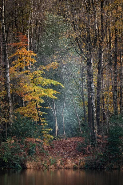 Bella Immagine Del Paesaggio Forestale Lacustre Autunnale Riflessa Acqua Calma — Foto Stock