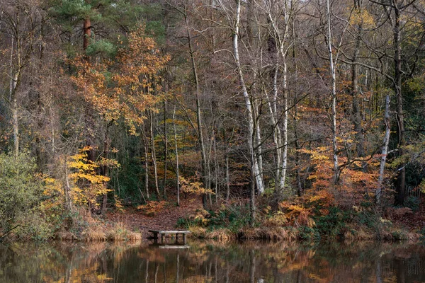 Schöne Herbstliche Waldlandschaft See Die Sich Stillem Wasser Widerspiegelt — Stockfoto