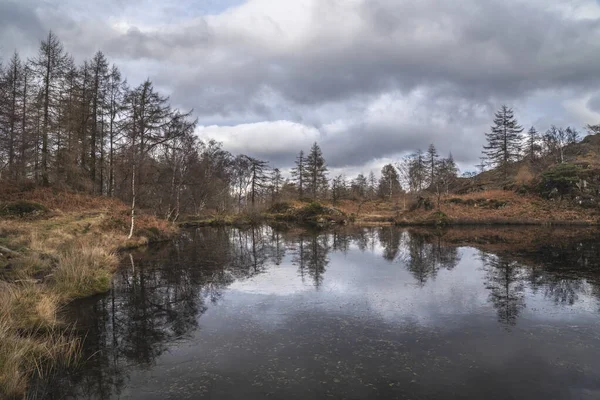 Епічні Зимові Пейзажі Holme Fell Озерному Районі Снігових Гірських Хребтів — стокове фото